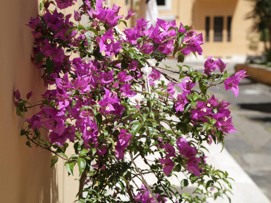 Guest House Masterintrastevere Ρώμη Εξωτερικό φωτογραφία
